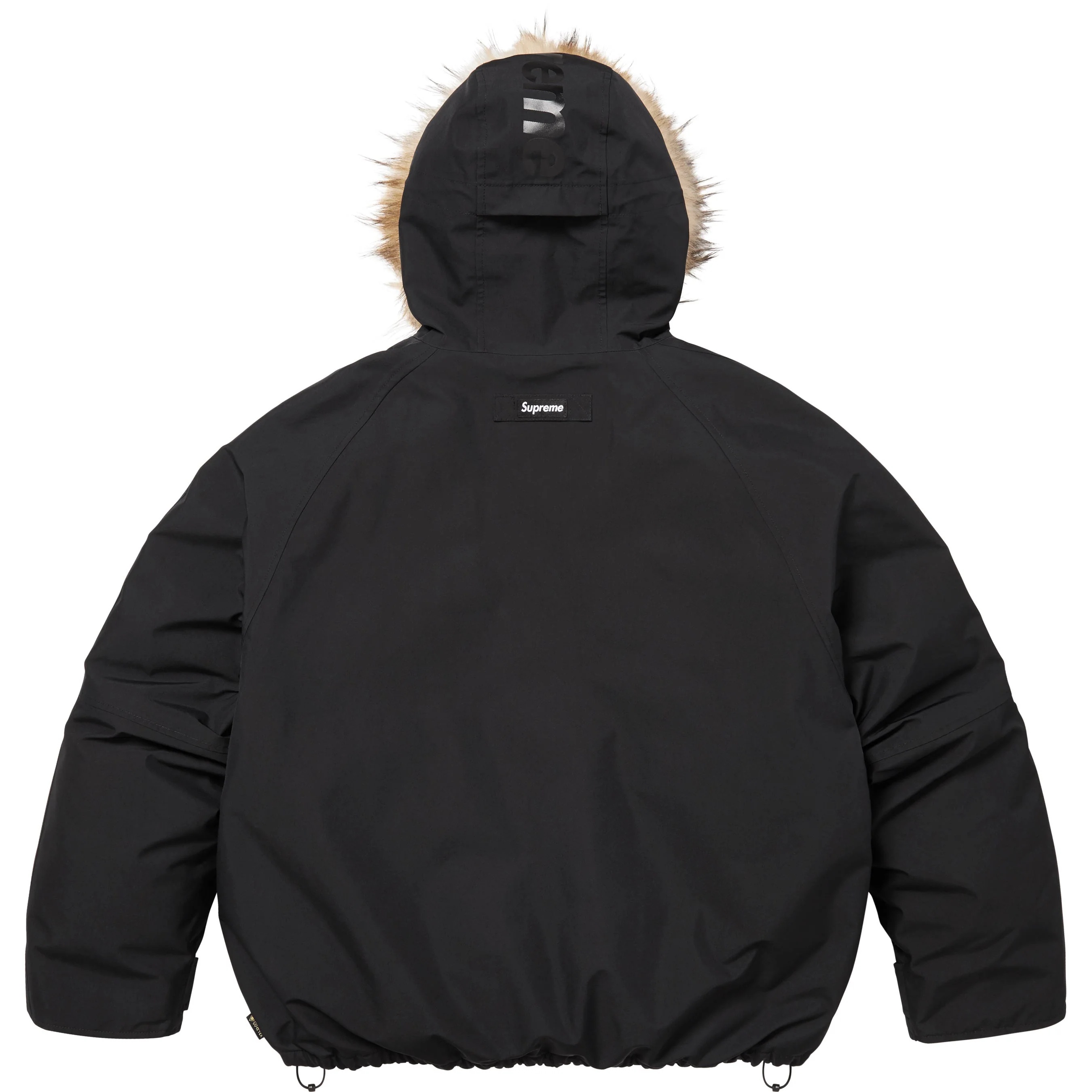 2-in-1 GORE-TEX Parka + Reversible 700-Fill Down Liner Jacket view 29